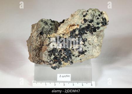 Andradite. Minerali. Nord America; USA; California; Contea di Calaveras Foto Stock