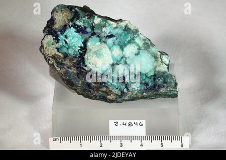 Hemimorphite. Minerali. Nord America; USA; Nevada; Eureka County; Eureka Foto Stock