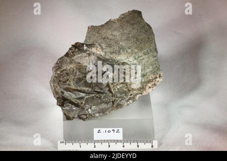 Epidote. Minerali. Nord America; USA; Maine; Contea di Oxford; Hebron Foto Stock