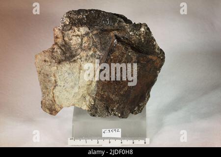 Cordierite. Minerali. Nord America; USA; Connecticut; Contea di Litchfield; Litchfield Foto Stock