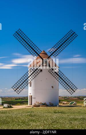Mulino a vento tipico, Mota del Cuervo, Castilla-la Mancha, Spagna Foto Stock