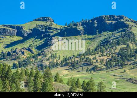 coburn montagna vicino a craig, montana Foto Stock