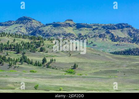 coburn montagna vicino a craig, montana Foto Stock