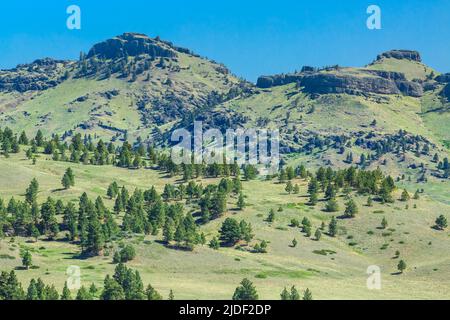 coburn montagna vicino a craig, montana Foto Stock