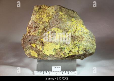 Carnotite. Minerali. Nord America; USA; Colorado; contea di Montrose; Paradox Valley Foto Stock