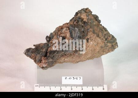 Anfibole. Minerali. Nord America; USA; New York; Saint Lawrence County; Gouverneur Foto Stock