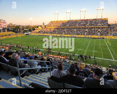 Tim Hortons campo Hamilton Tiger Cats Foto Stock