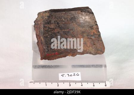 Anfibole. Minerali. Nord America; USA; New York; Orange County; Monroe; Forno Greenwood Foto Stock