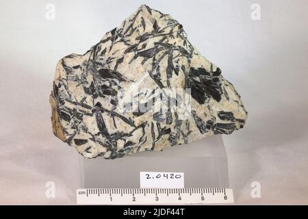 Anfibole. Minerali. Nord America; USA; Massachusetts; Hampden County; Chester Foto Stock