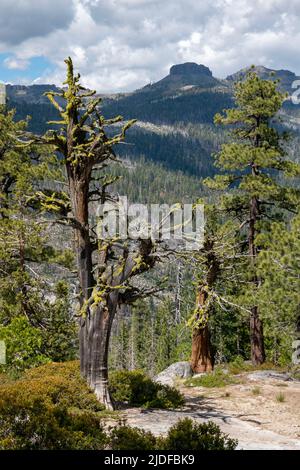 I Dardanelli possono essere visti da Donnell Vista, una fermata di riposo nella contea di Tuolumne, CA lungo la state Route 108 vicino al Passo sonora. Foto Stock