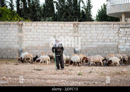 Damasco, Siria - Maggio 2022: Pastore e pastore in paesaggio rurale vicino a Damasco, Siria Foto Stock