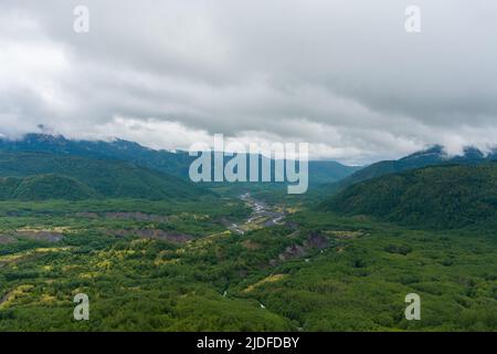 Paesaggi dello stato di Washington vicino a Mount St Helens in una giornata di nebbia nel giugno del 2022 Foto Stock