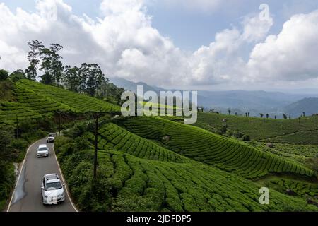 Auto che salgono lungo la strada tortuosa come si vede dal belvedere Munnar bypass Tea Garden, Munnar, Kerala, India Foto Stock