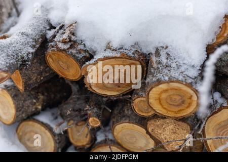 Mucchio di legna da ardere grande per riscaldamento di abitazione coperto con neve che posa all'esterno su terreno cortile durante il giorno. Stucco per caminetto caldo e accogliente Foto Stock