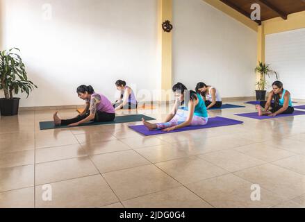 Gruppo di donne che fanno yoga al chiuso salice posizione Foto Stock