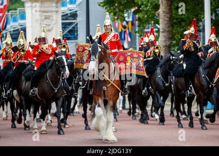 Harry il cavallo del tamburo a Trooping The Color Rehearsals, The Mall, Londra Inghilterra, Regno Unito Sabato, Maggio 21, 2022. Foto Stock