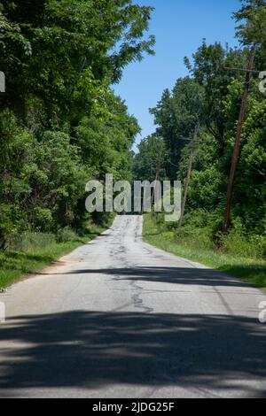 Old Road circondata dalla lussureggiante foresta Delaware Foto Stock