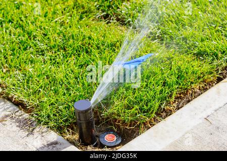 Giardino sistema automatico di irrigazione irrigazione a spruzzo prato Foto Stock