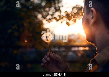 Un bell'uomo al tramonto con i dandelioni. Natura intorno a noi, primavera e tramonto. Vista frontale. Foto Stock