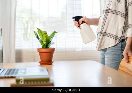 Donna spruzzando casalinga a casa, si preoccupa delle sue piante. Fiorista si prende cura di fiori domestici, versare liquido, fertilizzare, arricchire terreno asciutto, orticoltura, concetto di giardinaggio. Foto Stock