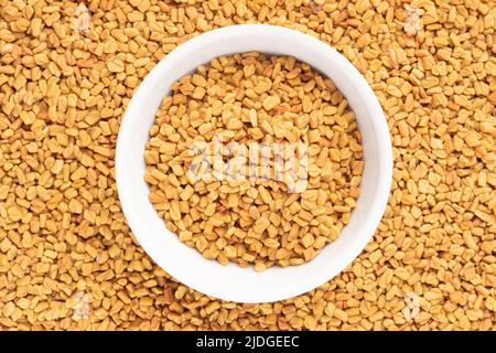 Fenugreek (Trigonella foenum-graecum) in ciotola di ceramica su sfondo fenugreek. Macro. Concetto di cibo vegetariano Foto Stock