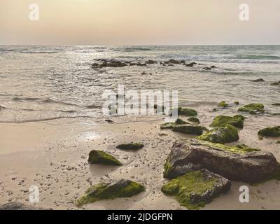 Nel tardo pomeriggio, l'ora d'oro si affaccia su massi ricoperti di muschio, sabbia e surf su una spiaggia di Netanya in Israele con uno sfondo di cielo nebuloso Foto Stock