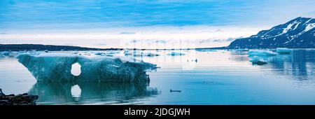 14th luglio Glacier Svalbard Norvegia Foto Stock