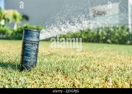 L'impianto di irrigazione spruzza acqua sul prato verde del territorio dell'hotel. Erba annaffiata durante la giornata di sole luminoso presso il resort. Vacanza estiva vista ravvicinata Foto Stock