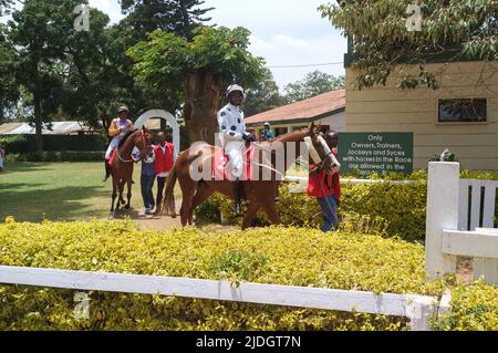 I cavalli sono condotti attorno al ring della parata prima di una gara, Ngong Racecourse, Ngong Road, Nairobi, Kenya. 1 Mar 2015 Foto Stock