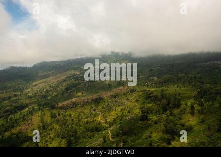 Vista dall'alto delle piantagioni di tè sulle colline delle montagne dello Sri Lanka. Paesaggio della tenuta del tè. Foto Stock