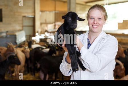 Veterinario donna esamina un goatlings in azienda Foto Stock