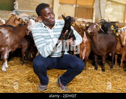 Proprietario africano americano di fattoria di capra con caprine piccole Foto Stock