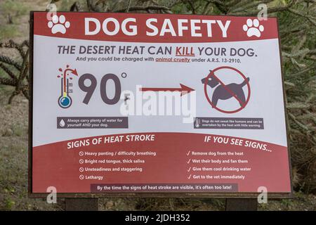 Cane domestico (Canis lupus F. familiaris), segnale di avvertimento per i proprietari di cani in un percorso escursionistico nel deserto, Brown`s Ranch Trailhead, USA, Arizona Foto Stock