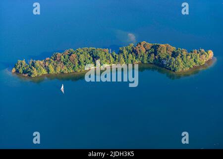 Isola Langenwarder con barca a vela sul Dieksee, vista aerea 08/31/2019, Germania, Schleswig-Holstein Foto Stock