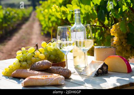 Vineglasse di vino su sfondo vigneto Foto Stock