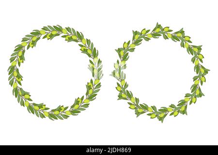 Corona olive verdi barbatella tirata a mano cornice rotonda con rami foglie e bacche verde. Illustrazione vettoriale Illustrazione Vettoriale