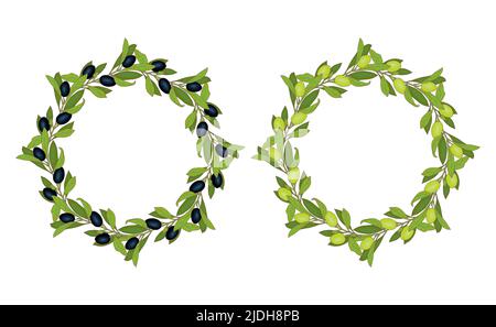 Corona set olive nere e verdi barbatella disegnata a mano cornice rotonda con rami foglie e bacche. Illustrazione vettoriale Illustrazione Vettoriale