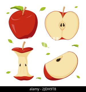 Una serie di mele rosse in diverse posizioni. Un frutto intero, una metà, un nucleo. Illustrazione vettoriale Foto Stock