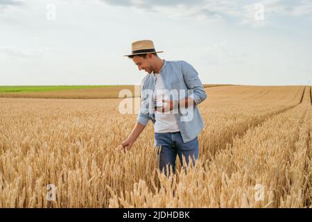 Un agricoltore felice che usa il telefono cellulare mentre si trova nel suo campo di grano in crescita. Foto Stock