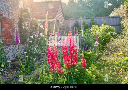 Inglese Country Garden con cottage giardino piante in estate e una parete di pietra focaia Foto Stock