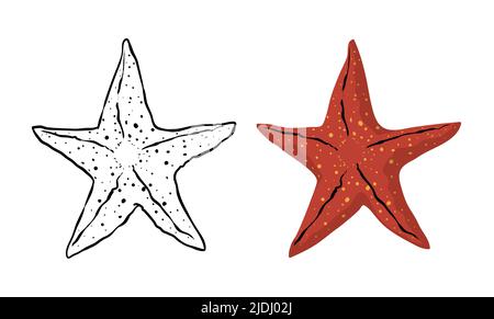 Set con versione di disegno di stelle marine, uno in contorni e bianco e nero, l'altro in colori e stile cartoon. Illustrazione Vettoriale