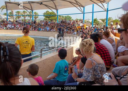 SEAL che eseguono trucchi, Marineland, Francia Foto Stock