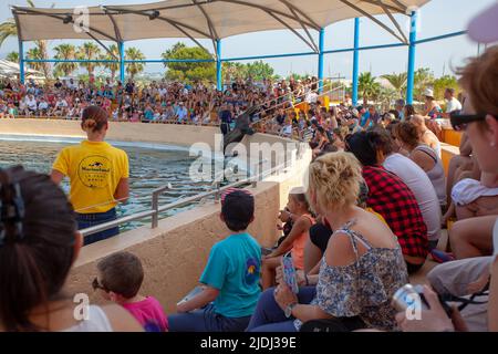 SEAL che eseguono trucchi, Marineland, Francia Foto Stock