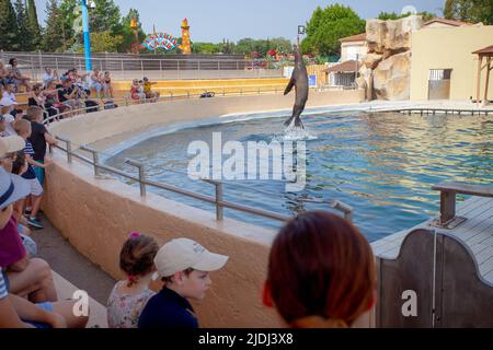 SEAL che eseguono trucchi, Marineland, Francia Foto Stock