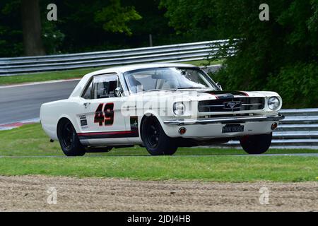 Mike Whitaker, Michael Whitaker Jnr, Ford Mustang, Masters Pre-1966 Touring Cars, tornando ai giorni del campionato britannico di auto berlina, a o Foto Stock