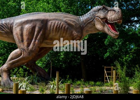 Londra, Regno Unito. 21 giugno 2022. I tocchi di rifinitura sono fatti a Jurassic Island, un campo da golf pazzo a tema dinosauro, che è stato costruito a Harrow. I dinosauri a grandezza naturale sono intervallati tra le buche del campo da golf che apre al pubblico il 2 luglio. Credit: Stephen Chung / Alamy Live News Foto Stock