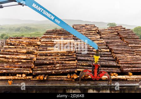 Una grande presa meccanica idraulica Mantsinen 100 RHC blu da mucchi impilati di legno tagliato, Fishnish Bay Shore, Sound of Mull, Isola di Mull, Scozia Foto Stock