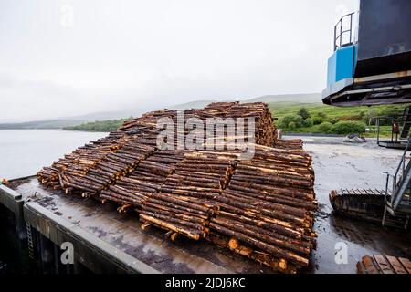 Una grande presa meccanica idraulica Mantsinen 100 RHC blu da mucchi impilati di legno tagliato, Fishnish Bay Shore, Sound of Mull, Isola di Mull, Scozia Foto Stock