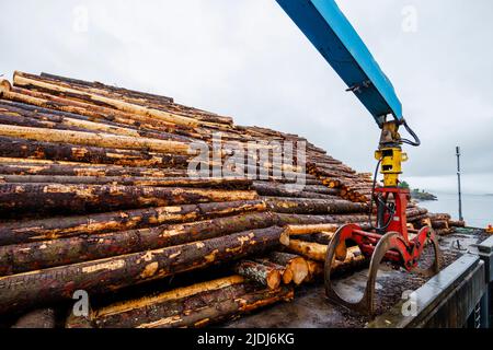 Una grande presa meccanica idraulica Mantsinen 100 RHC blu da mucchi impilati di legno tagliato, Fishnish Bay Shore, Sound of Mull, Isola di Mull, Scozia Foto Stock