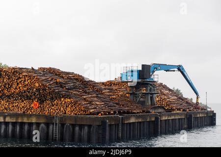 Una grande presa meccanica idraulica Mantsinen 100 RHC blu da mucchi impilati di legno tagliato, Fishnish Bay Shore, Sound of Mull, Isola di Mull, Scozia Foto Stock